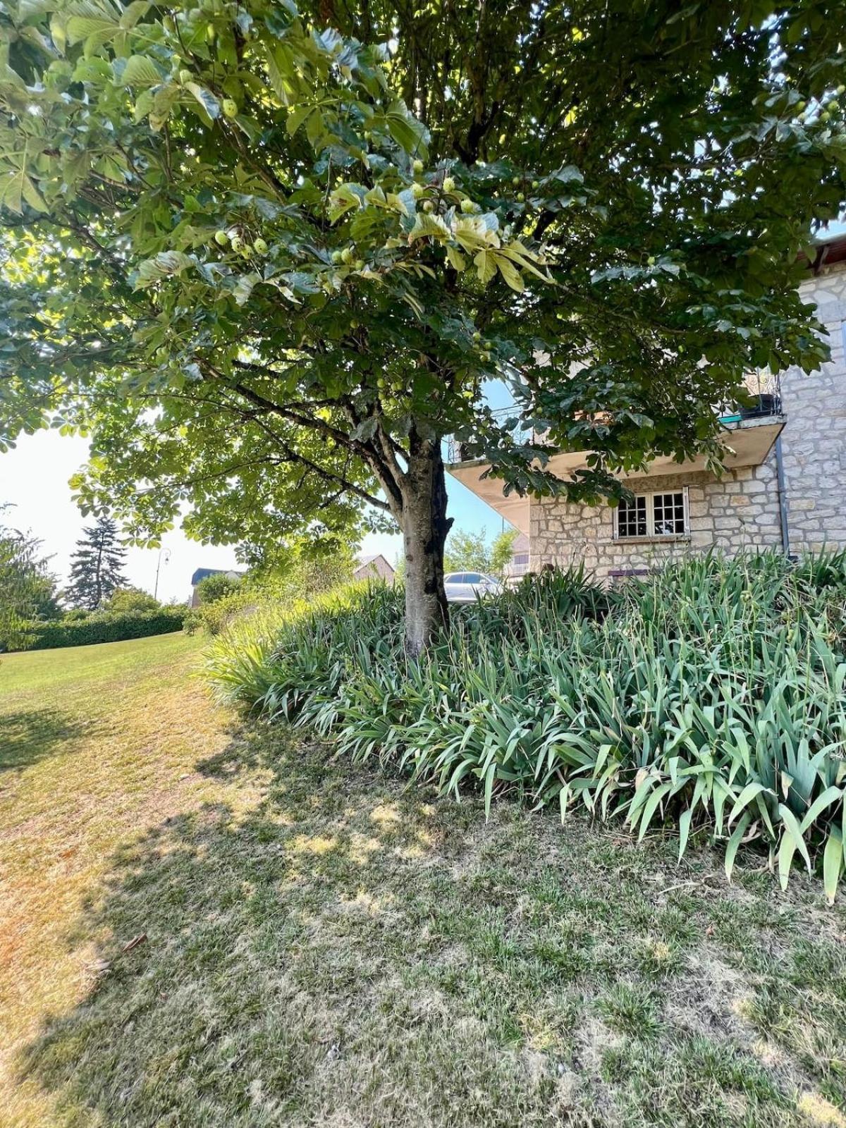 Villa La Baronnie - 11 Pers - Proche Brive -Jardin Ussac Dış mekan fotoğraf